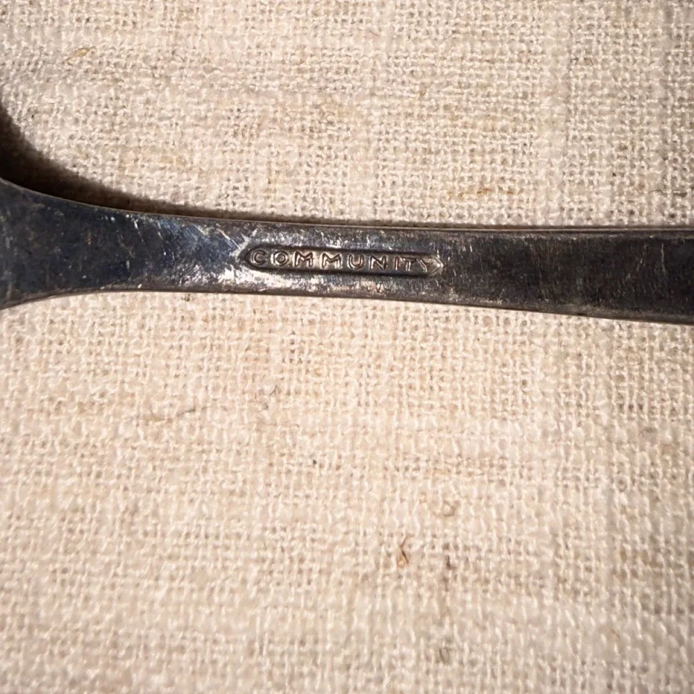 Community Silverplate Tablespoon Serving Spoon 8